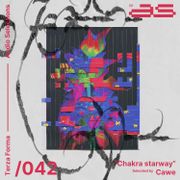 TFAS/042_Chakra starway_Cawe