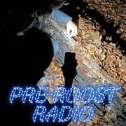 Pre-Roost Radio - mit Manischa, Kai & Wiebke (20.01.2026)
