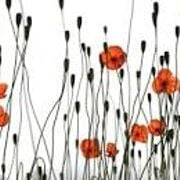 Remberance Special The Power of Music Nov 23