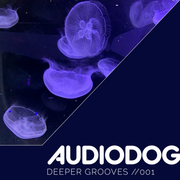 Audiodog - Deeper Grooves - 001