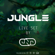 CND @ JUNGLE