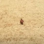 Terry The Kid / Bucolic Mix