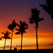 Sunday Sunset and Chill Vol 1