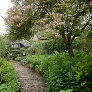 Real World Gardener 26th July 2024 radio 2rrr 88.5fm