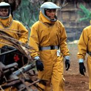 Cellulite celluloide, rapporto sul cinema ai tempi del coronavirus.