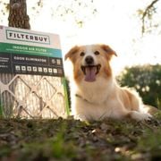 Unlock Cleaner Air: The Filterbuy 14x18x2 Air Filter Essential Guide - Audio Blog