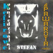 Kefirowe poniedziałki - Wczucior #90/1448 PAWAROTA Radio - 28.10.2024