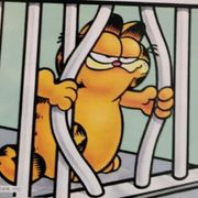 Heathen Disco (Show 385, 8 November 2024)