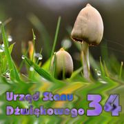 Urząd Stanu Dźwiękowego USD 20180911 Idziemy na grzybki