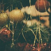 Snapshot #141 [23.12.2024]