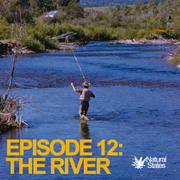 Episode 12: The River