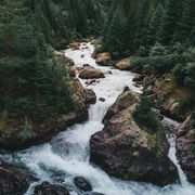 Papa on the hot line