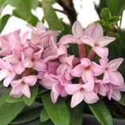 This Week with Penny - 1st August 2025