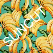 Suncut (Brazilian Special) - 4th April 2016