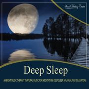 Deep Sleep Ambient Music Therapy