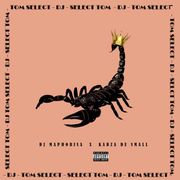 Guest Mix - Tom Select