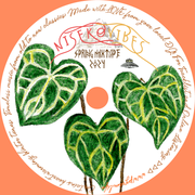 Niseko Vibes - Spring Mixtape 2024