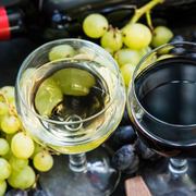 Discovering if Pinot Noir Is Red or White and What Type of Wine It Is - Audio Blog