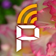 International Reggae Day mix - Tom #101/1657 PAWAROTA Radio - 01.07.2025