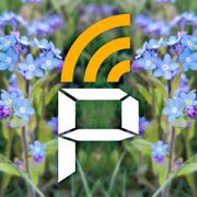 3maj mix - Tom #95/1608 PAWAROTA Radio - 03.05.2025