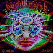 Bedroom Breaks Experimental Mix by Buddhafish