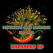 EP Preview - House of Acid Habanero - Spliffy B