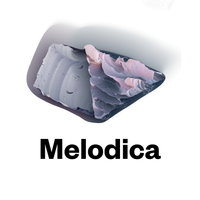 Melodica 9 March 2020 (special guest Maa from Tokyo)