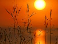 Quietmusic - Complete Three-Hour Program - May 28