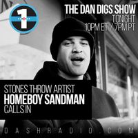 Show 012 - Special Guest: Homeboy Sandman - New Ghostpoet, BBNG, Shabazz Palaces - 1.11.15