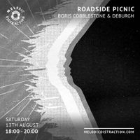Roadside Picnic with Deburgh (August '22)