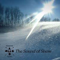 Seasonal Cycles - The Sound of Snow