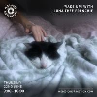 Wake Up! With Luna Thee Frenchie (22nd June '23)