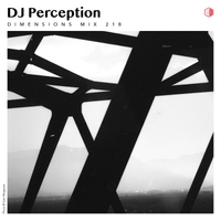 DIM218 - DJ Perception