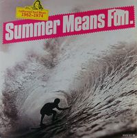 SUMMER MEANS FUN [1980] California Surf Music 1962-1974, feat The Beach Boys, The Fantastic Baggys