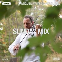 Sunday Mix: Miguel Atwood-Ferguson