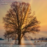 Deep Licks - February 2024