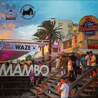 Café Mambo Radio Ibiza - House Trained Show Episode 126 (12/01/24)