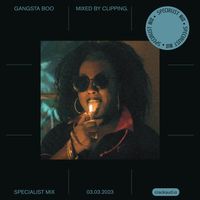 Gangsta Boo: Mixed by clipping.