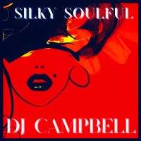 SILKY SOULFUL - 3 HOURS MIX!! - FEBRUARY 2024