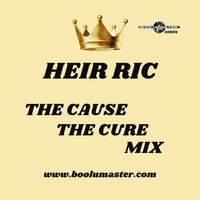 https://www.boolumaster.com/shop/mixes/house-disco-music/the-cause-the-cure-heir-ric-house-mix/