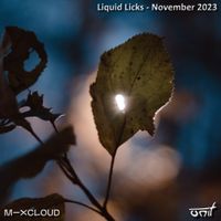 Liquid Licks - November 2023