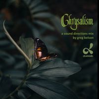 Chrysalism - a sound directions mix by greg belson - DUBLAB FUNDRAISER