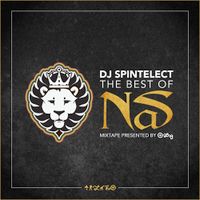 Dj Spintelect Present's Best Of Nas