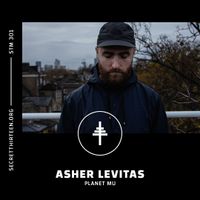 STM 301 - Asher Levitas