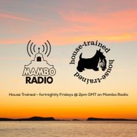 Café Mambo Radio - House Trained Show Episode 1 (29/03/19)