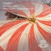 Camea Robot Heart Burning Man 2015