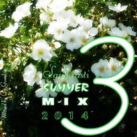 Saulkrasti Summer Mix 2014 vol.3