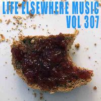 Life Elsewhere Music Vol 307