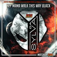 David Guetta, Minaj Vs DFM Vs Makj, Thomas Newson - Hey Mama Walk This Way Black (Da Sylva Mashup)