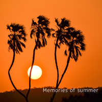 2021/6/3  Memories of Summer Mix